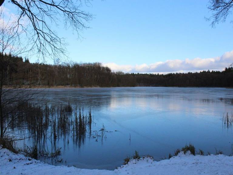 foto7