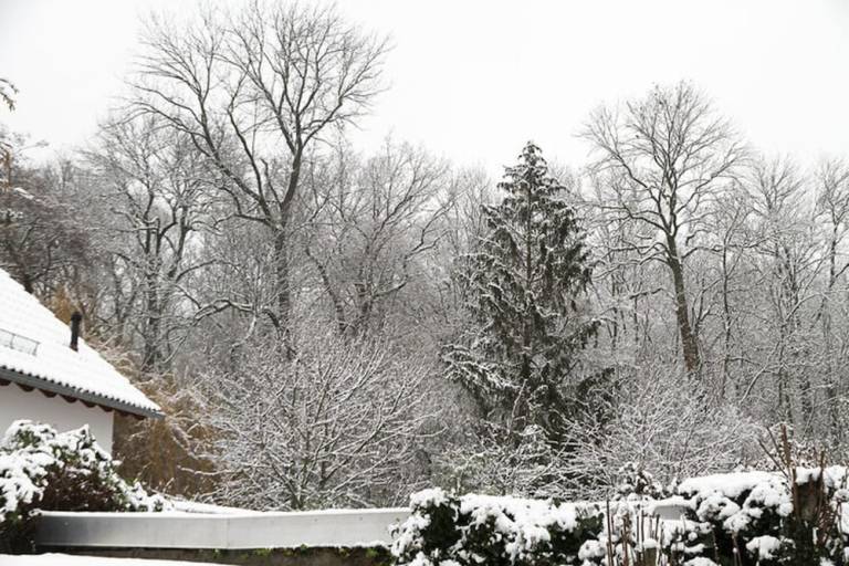 Ferienwohnung  Connewitz