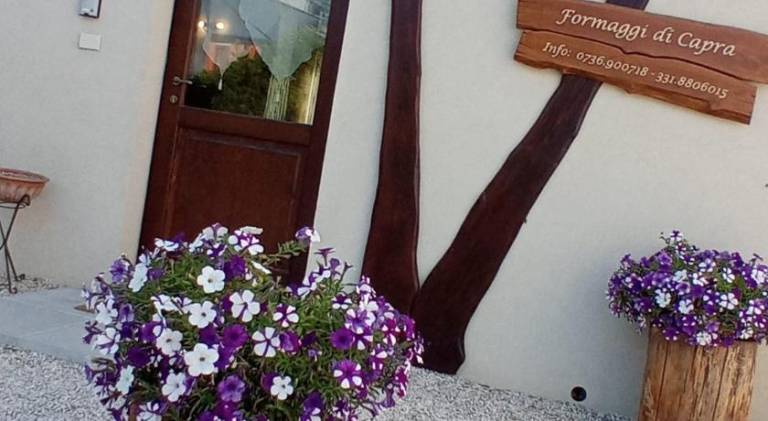 Beautiful farm | Pets allowed in Fermo