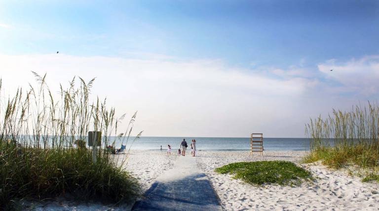 House Palmetto Dunes
