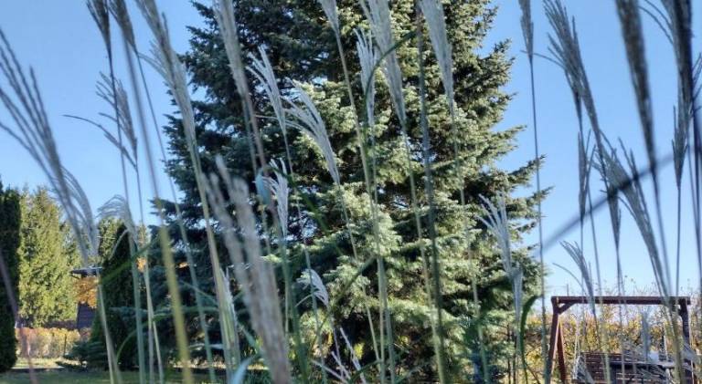 60 m² Ferienwohnung