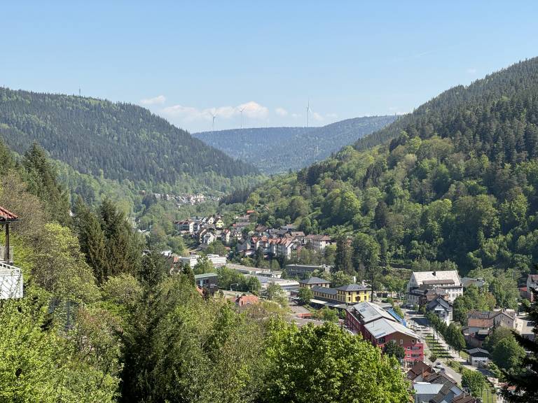 foto12