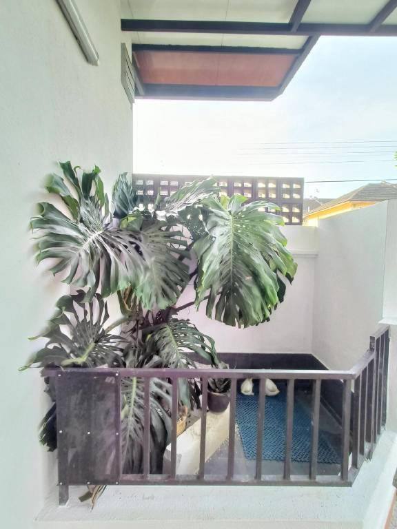 foto14