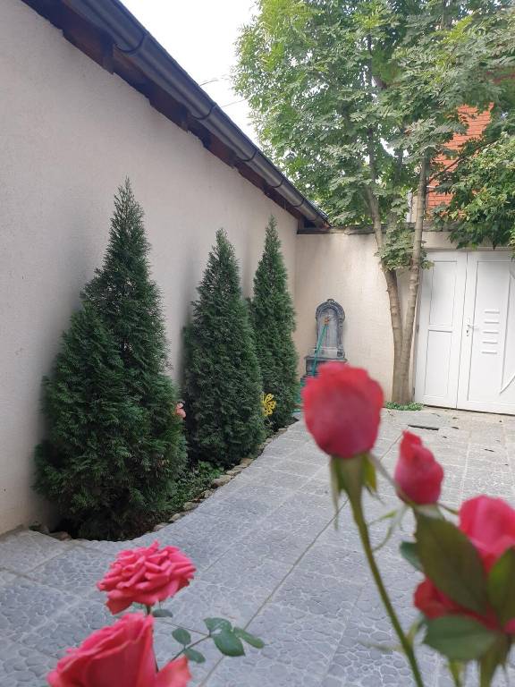 Vacation home with garden & terrace | Perfect for remote work in Sarajevo