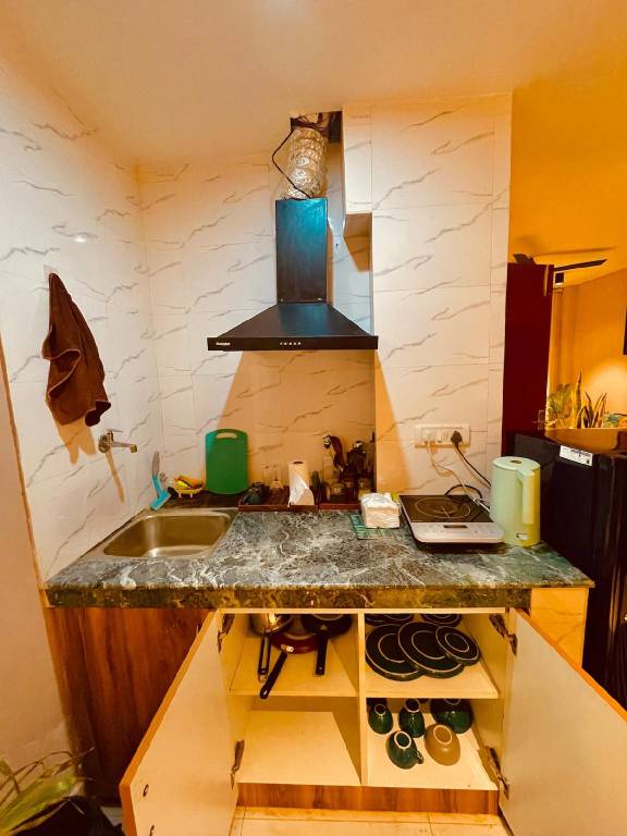 Vacation home | Close to Connaught Place | Pets allowed — photo 3