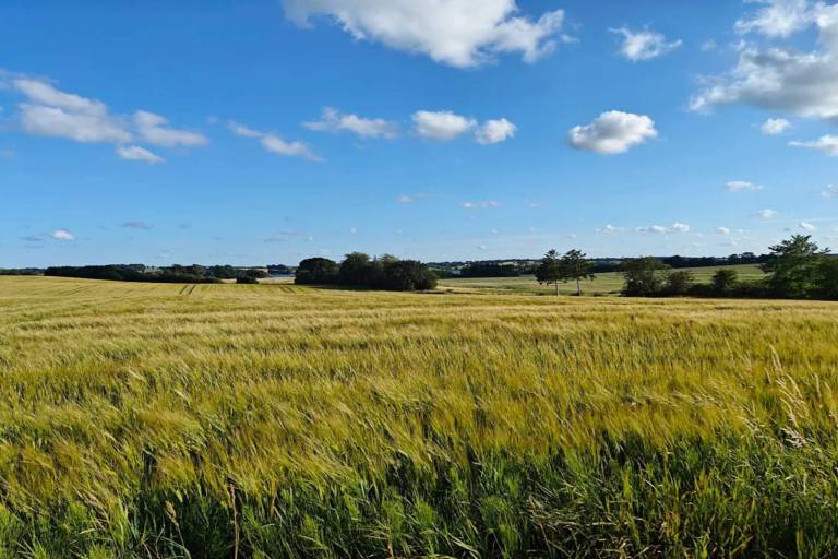 Wonderful house with patio | Close to the beach | Dogs allowed — photo 2