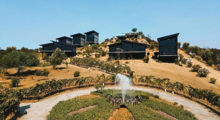 Origen75 Loft - Villas - Skypool - Vinedo, Valle de Guadalupe in Ensenada