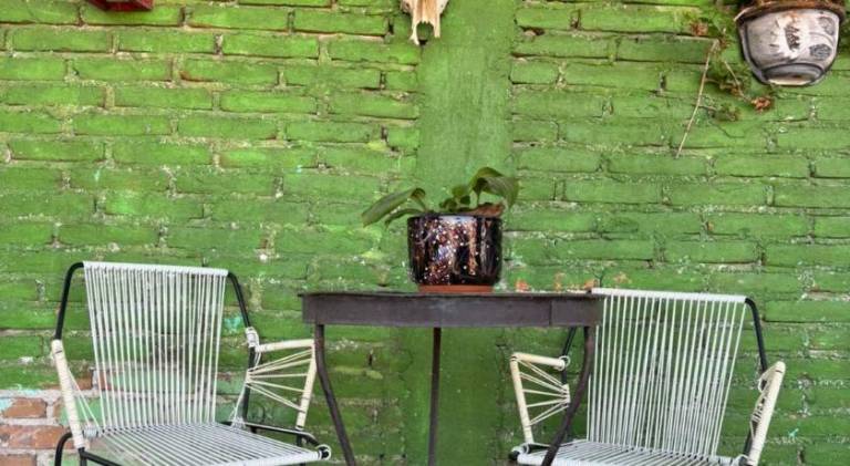 Nice rental apartment | Pets are welcome — photo 5