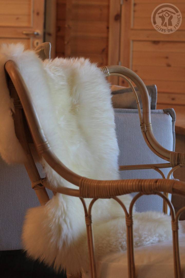 foto22
