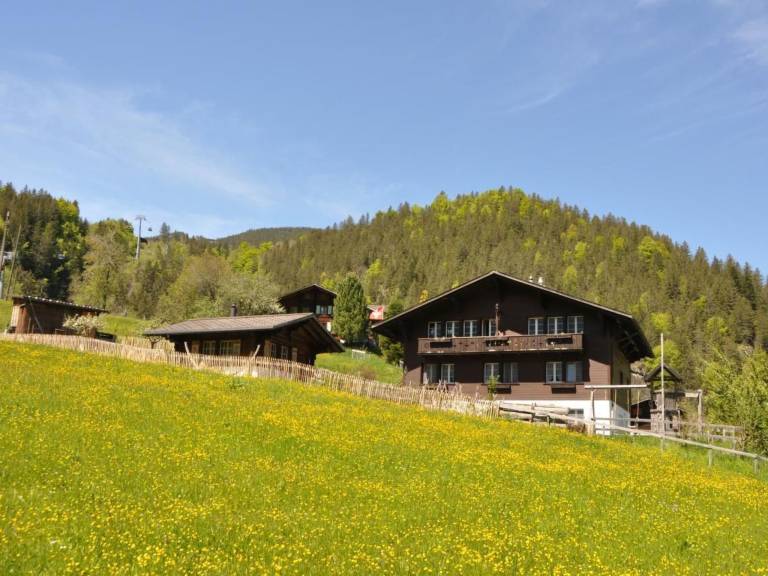 Holiday apartment with garden | Mountain view in Grindelwald