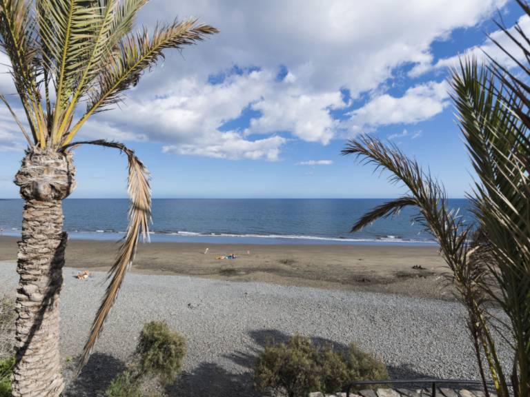 Nice rental apartment with heated pool & garden | Beach nearby | Pets allowed — photo 4