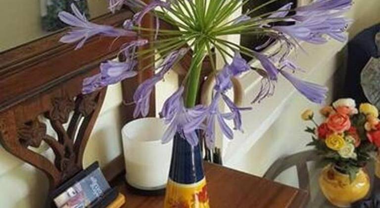 foto33