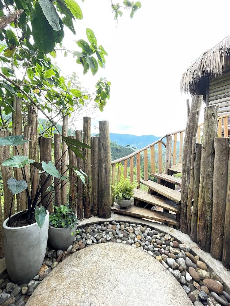 Cabin Pereira