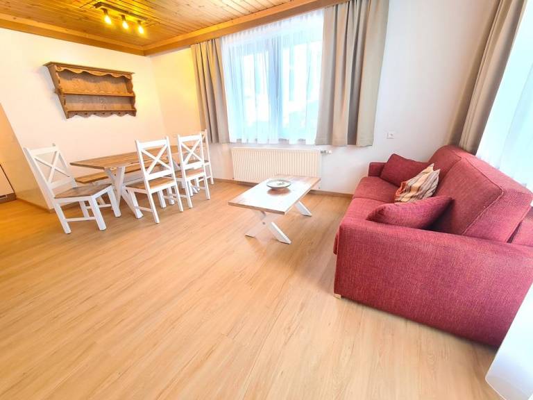 Apartment with terrace — photo 5