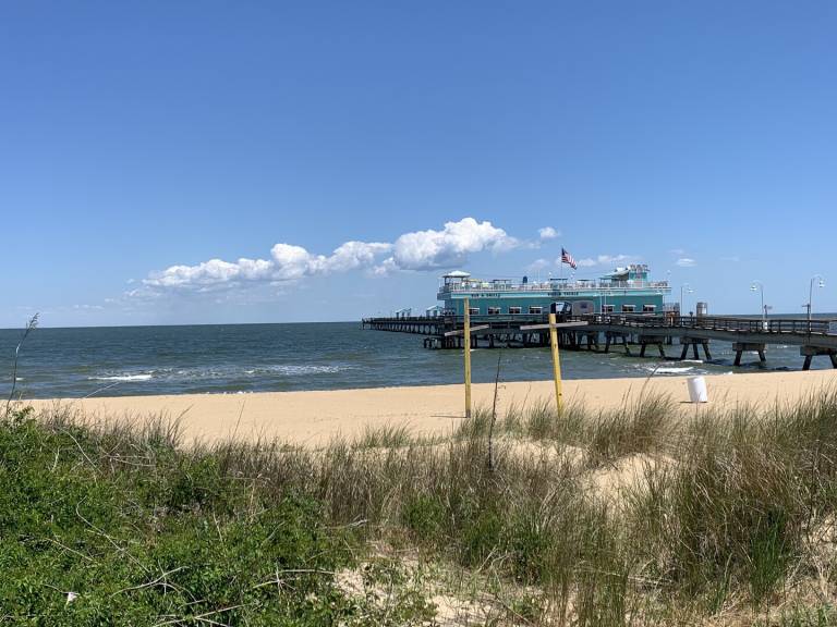 Condo with patio in Norfolk, VA