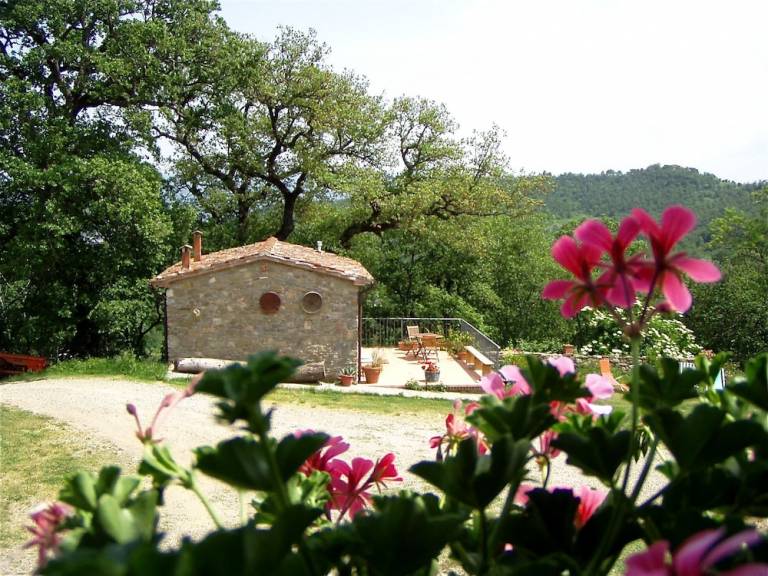 Agriturismo  Capolona