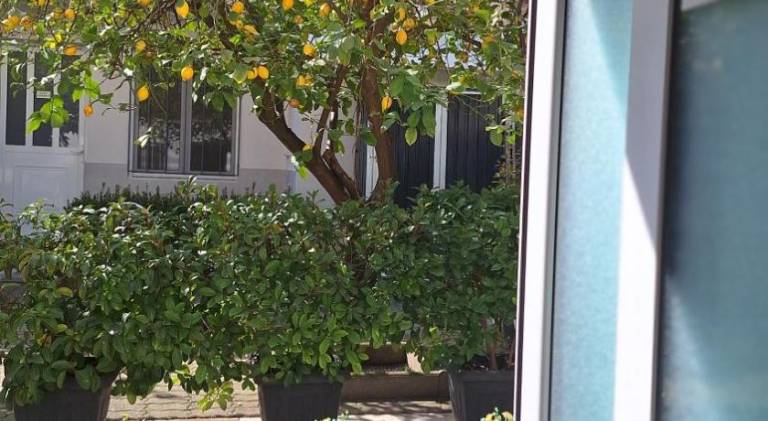 47 m&sup2; Ferienwohnung