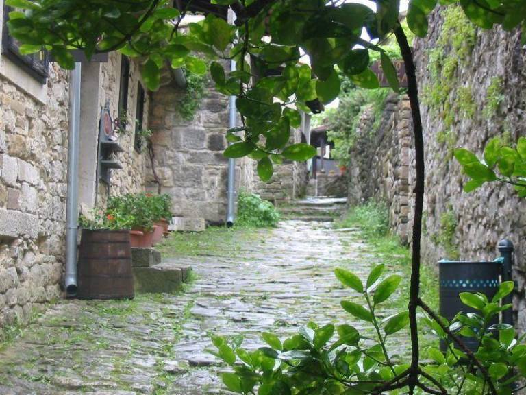 foto42