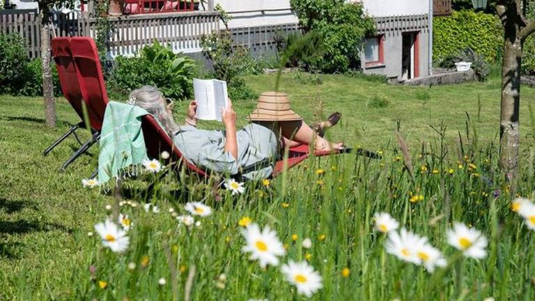 Ferienwohnung in Nußdorf am Attersee, Attersee für max. 2 Gäste - Hunde willkommen