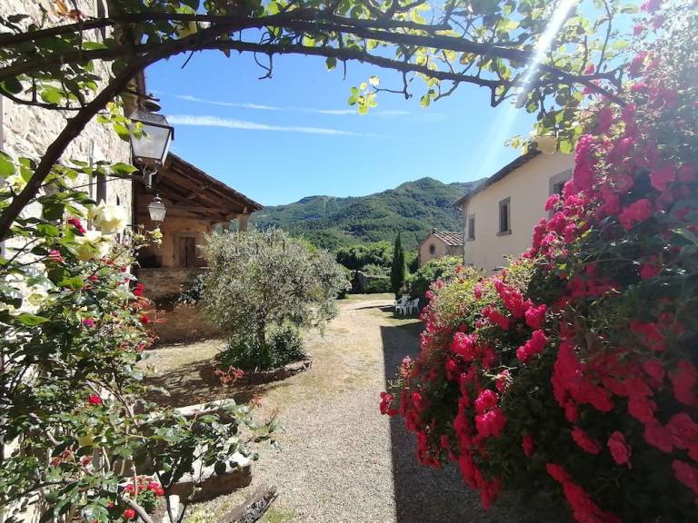 Casa vacanza San Godenzo