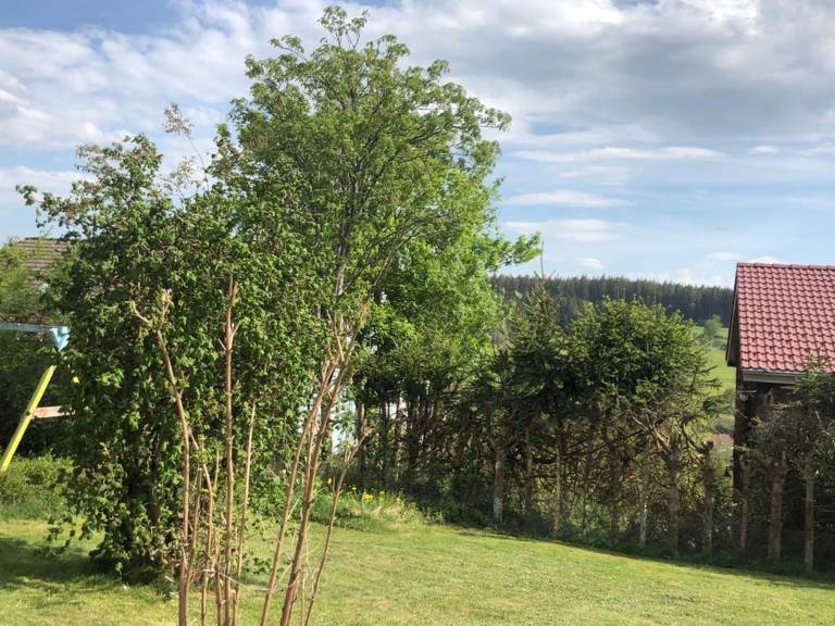 foto12
