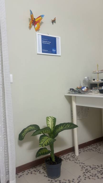 foto16