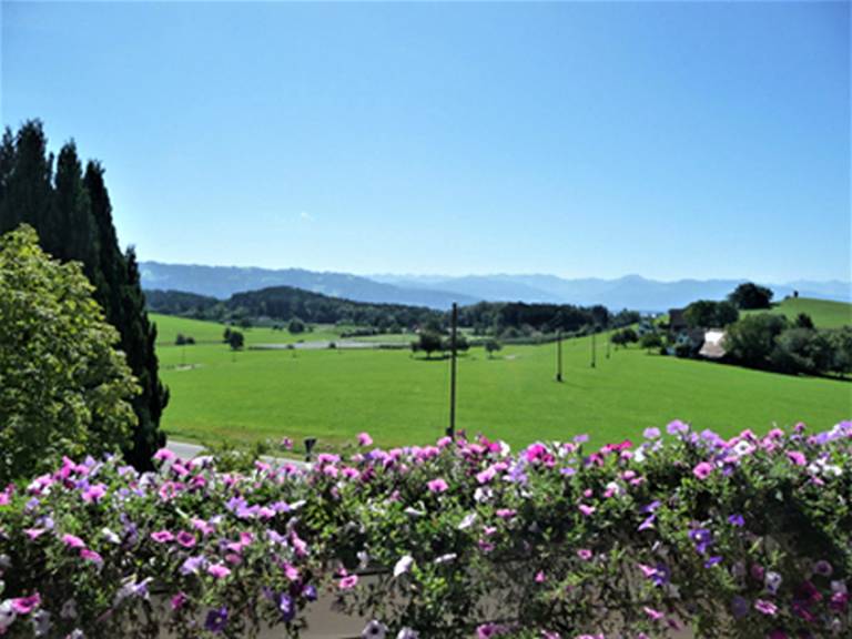 foto9
