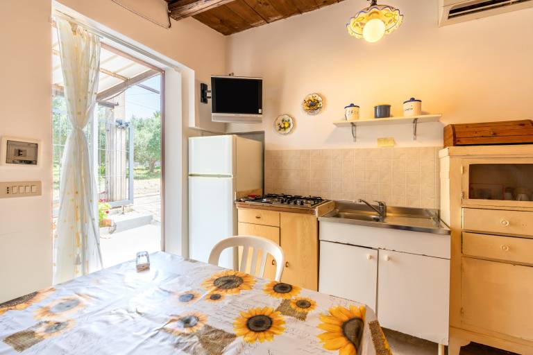 House with garden & barbeque | Garden view — photo 4
