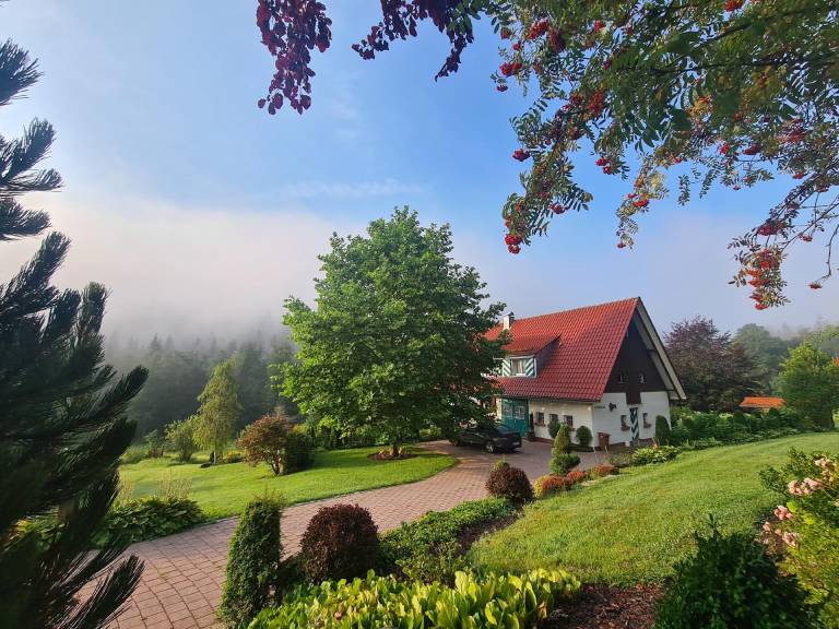 foto1