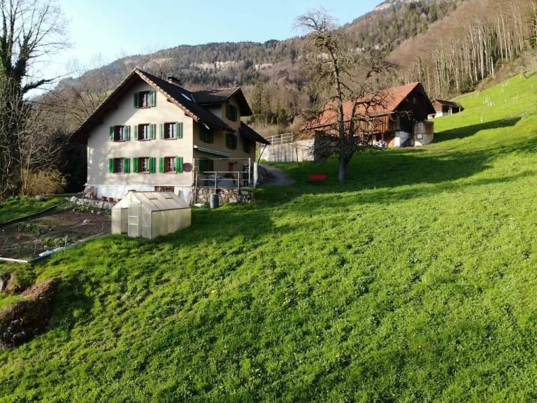 Apartment  Vitznau