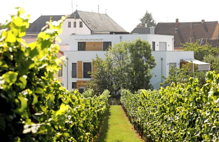 Ferienwohnung Edenkoben