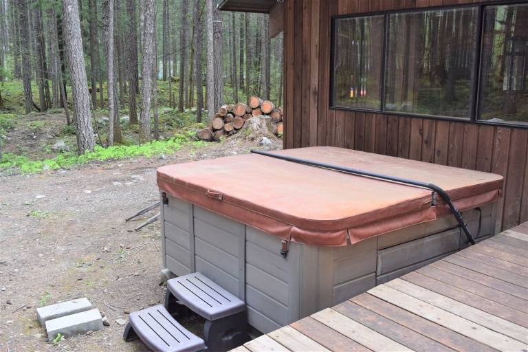 Cabin  Packwood