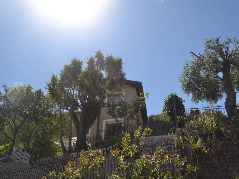 Casa Latte