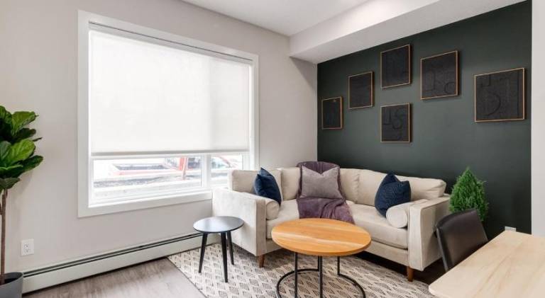Holiday apartment | Pet-friendly — photo 4
