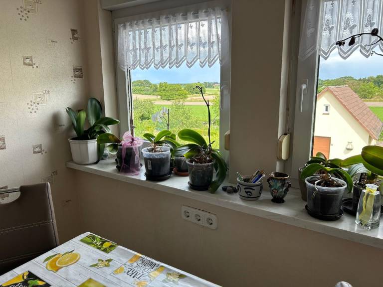 foto20