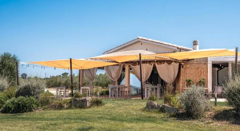 Farm with garden | Dogs allowed in Magliano in Toscana