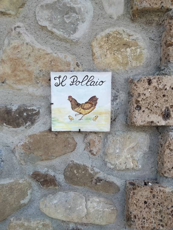 Il Paglia - vacanze nel verde tra Lazio, Umbria e Toscana: Pollaio — photo 2