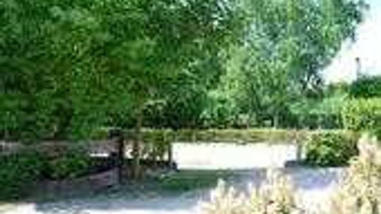 foto10