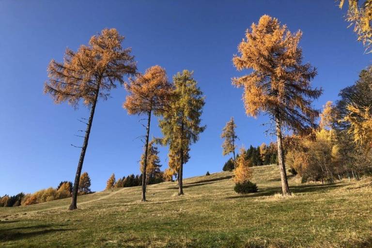 foto42