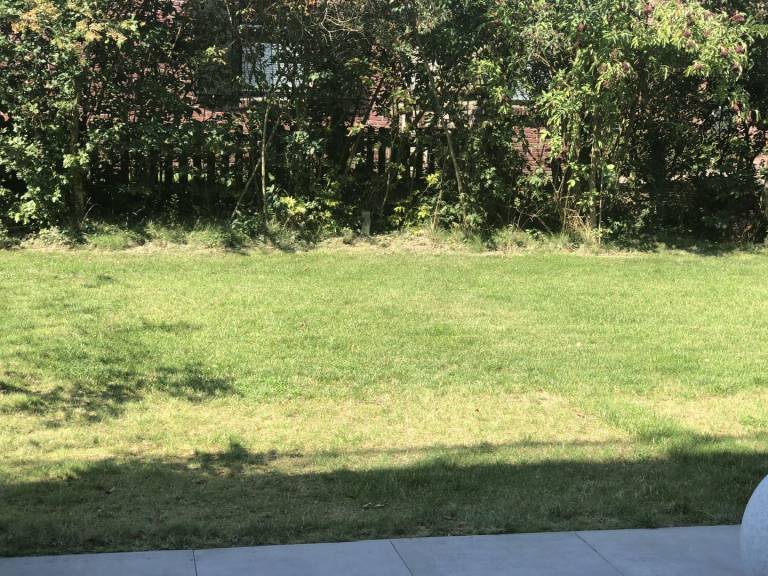 foto15