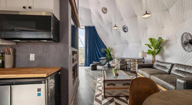 Luxury Glamping Dome on Texas Farm — photo 3