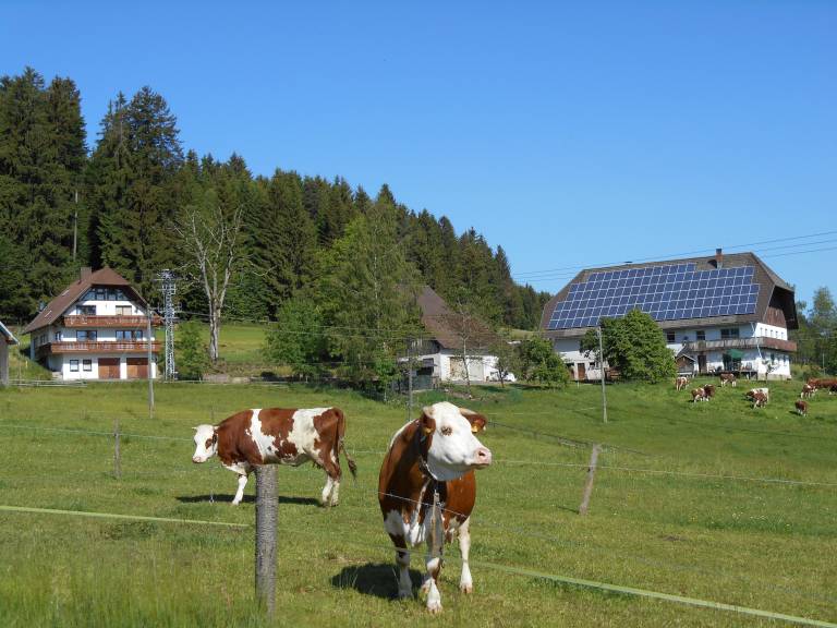 foto11