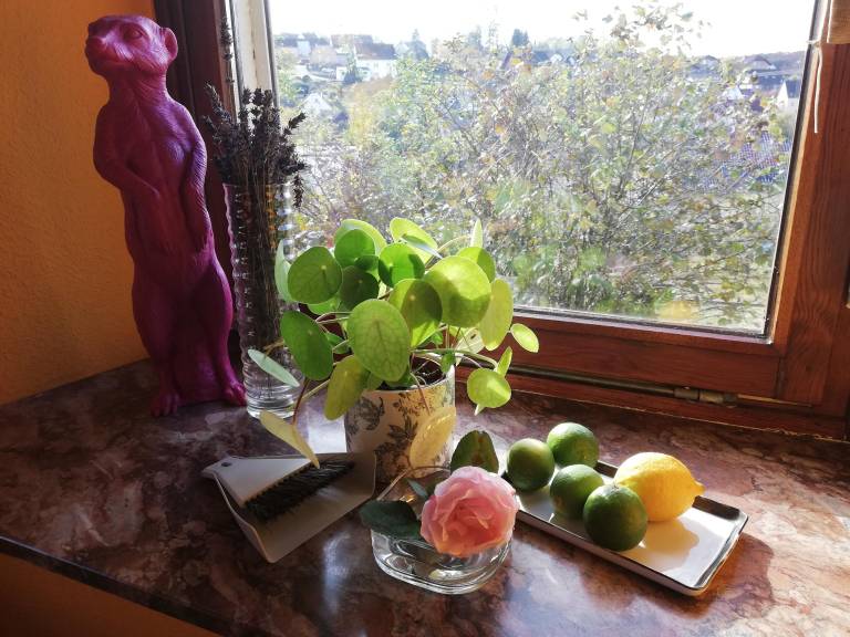 foto25