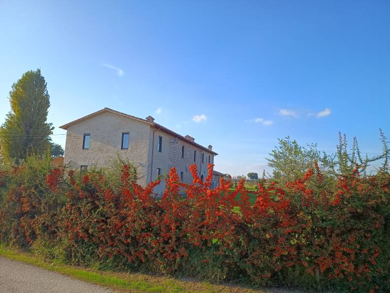 foto2