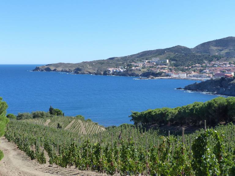 Appartement Collioure