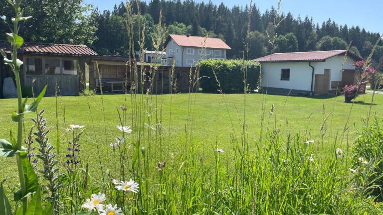 Ferienwohnung  Finsterau