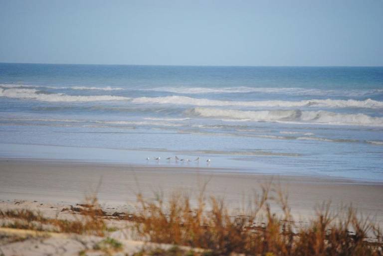 Resort Daytona Beach