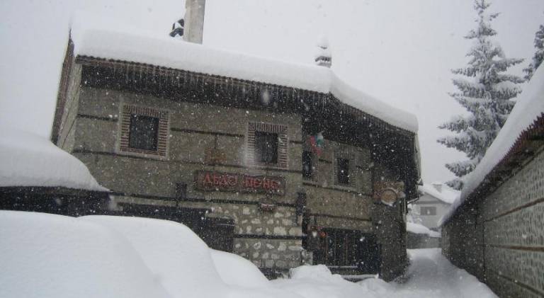 Dedo Pene Inn — photo 2