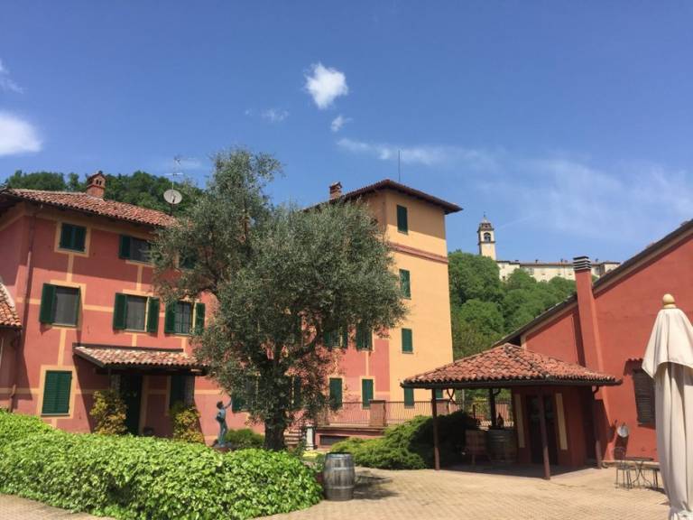 foto1