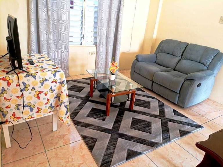 Apartment Kingston